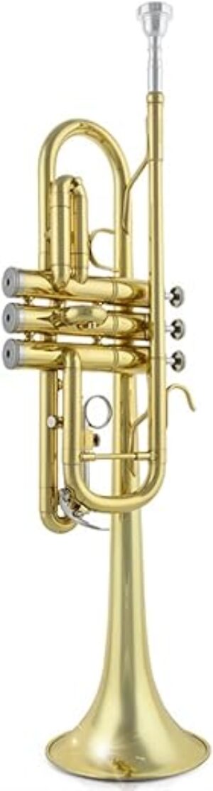 ZYZYZY Professional C Brass Student Trumpet