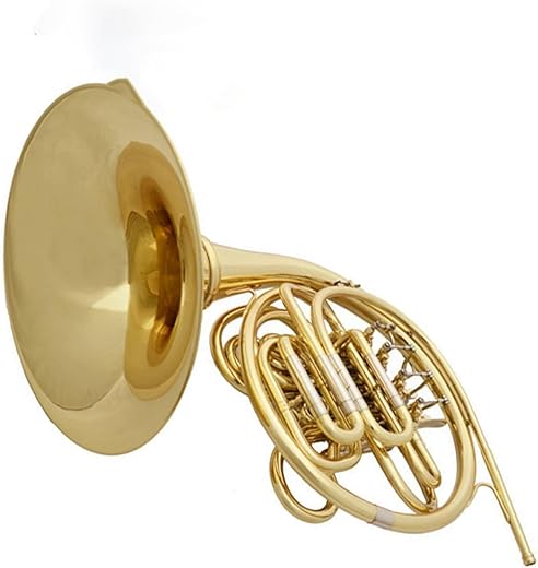 TSTS Professional Double French Horn 4-Key Brass