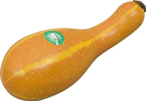 Remo Bell Pepper Shaker Remo - Image 5