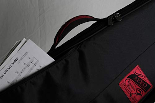 Reunion Blues Aero Series Guitar Case - Image 5