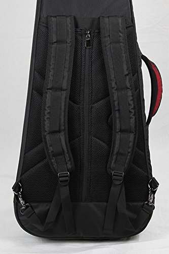 Reunion Blues Aero Series Guitar Case - Image 2
