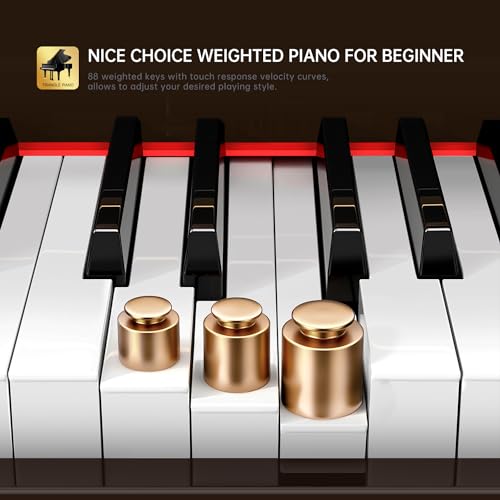 Rosen P35 88-Key Weighted Action Digital Piano - Image 3