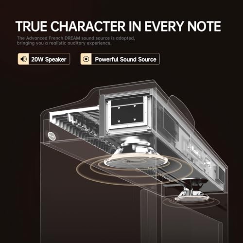 Rosen P35 88-Key Weighted Action Digital Piano - Image 4