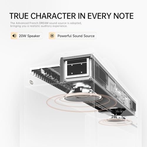 Rosen P35 88-Key Weighted Action Digital Piano - Image 3