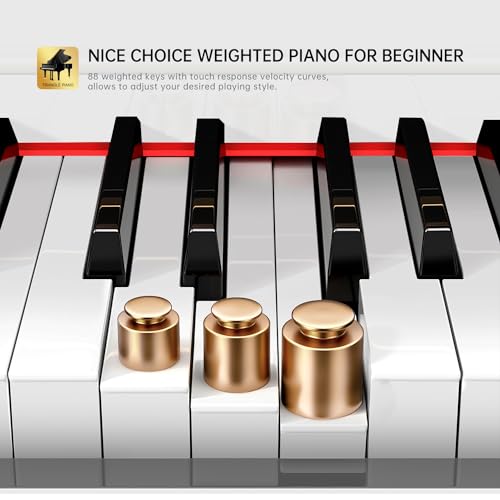 Rosen P35 88-Key Weighted Action Digital Piano - Image 4