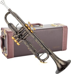 Singer's day SDTR-2019B Heavy Duty Black Trumpet