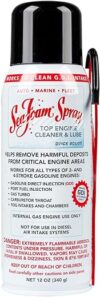 Sea Foam Sea Foam SS14 Spray Pack