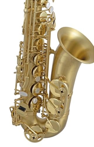 SELMER Professional Alto Saxophone SAS711 - Lacquer - Image 3