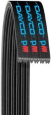 Dayco Serpentine Belt Black 5060505
