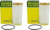Newparts Set Of 2 Engine Oil Filters