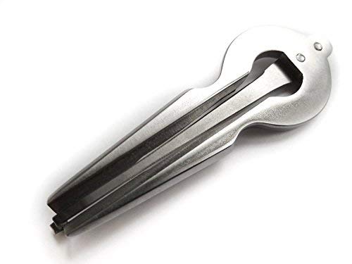 Shamanicshop Compass Jew's Harp - Beautiful Sound - Image 4