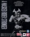 BANDAI SHFiguarts Kamen Rider Stronger