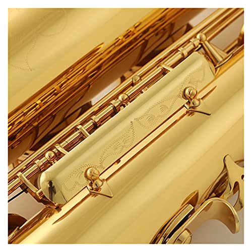 SHUNTIAN Saxophone E Flat Baritone Beginners Kit - Image 4