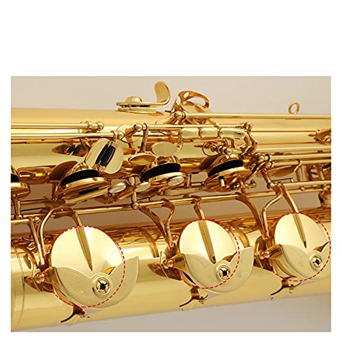 SHUNTIAN Saxophone E Flat Baritone Beginners Kit - Image 5