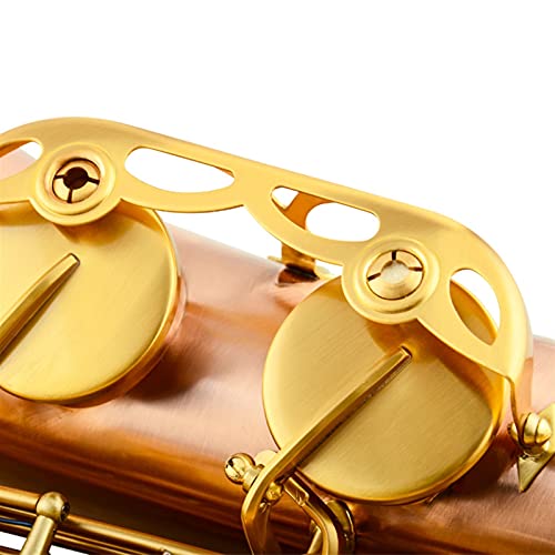 SHUNTIAN Tenor Brass Saxophone Beginners Kit - Image 3