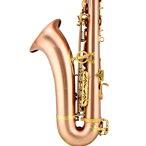 SHUNTIAN Tenor Brass Saxophone Beginners Kit - Image 4