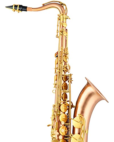 SHUNTIAN Tenor Brass Saxophone Beginners Kit - Image 5