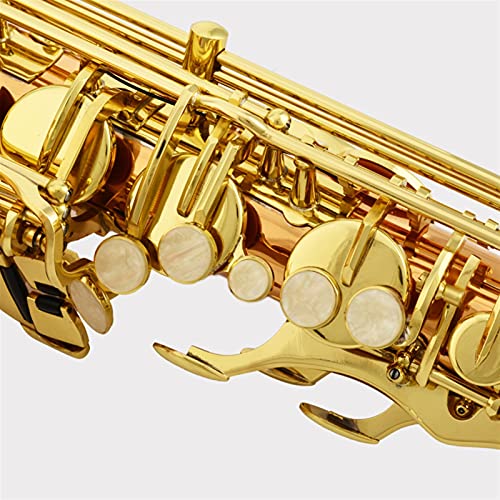 SHUNTIAN Tenor Saxophone Brass Beginners Kit - Image 3