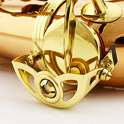 SHUNTIAN Tenor Saxophone Brass Beginners Kit - Image 4