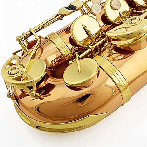 SHUNTIAN Tenor Saxophone Brass Beginners Kit - Image 2