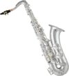 KAILINGBAIHUO Silver-Plated B Flat Tenor Saxophone