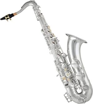 KAILINGBAIHUO Silver-Plated B Flat Tenor Saxophone