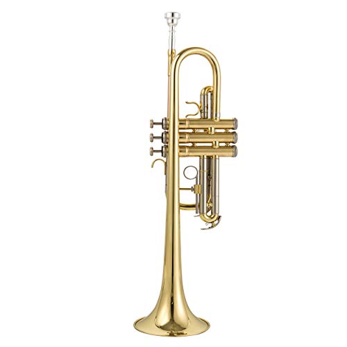 Singer's day SDTR-4315C C Tune Trumpet - Image 2