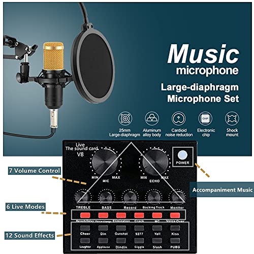 sktome BM-800 Recording Studio Package Bundle - Image 3