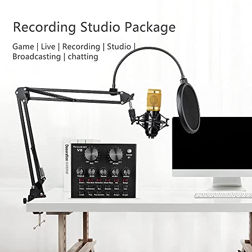 sktome BM-800 Recording Studio Package Bundle - Image 2