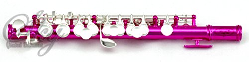 Sky Hot Pink Lacquer Piccolo With Case - Image 3