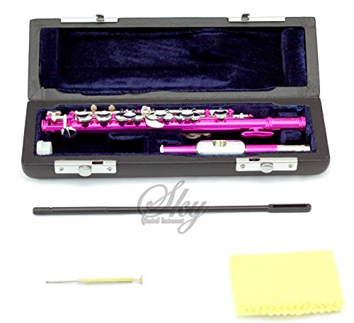 Sky Hot Pink Lacquer Piccolo With Case - Image 2
