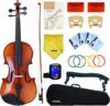 CRAFTEEM Solid Wood Violin Outfit (Glossy Antique, 1/2)
