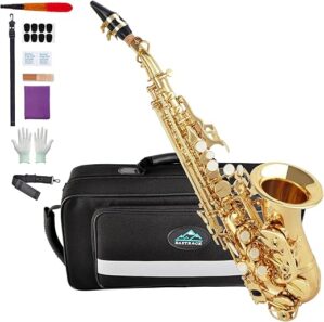 EASTROCK Soprano Saxophone Curved Bb Flat Gold