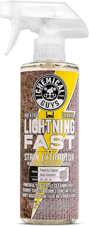 Chemical Guys SPI_191_16 Lightning Fast Stain Extractor