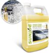 Sun Joe SPX-FCS1G Premium Snow Foam Cannon Soap