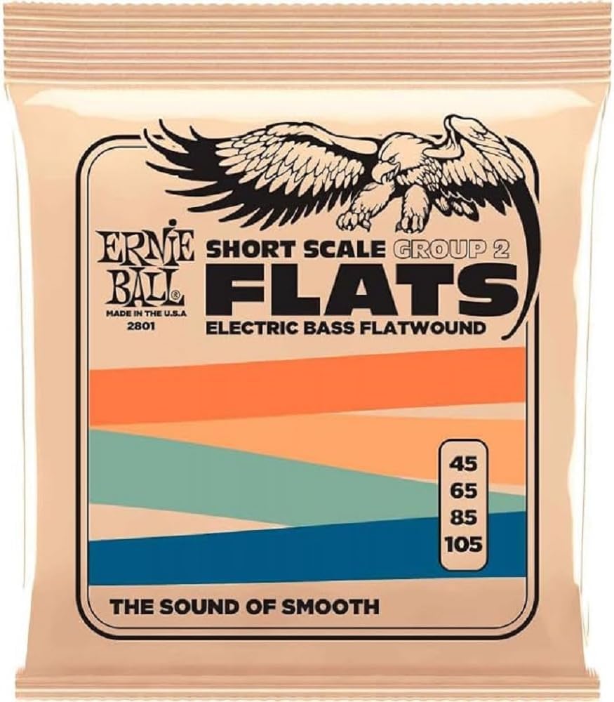Ernie Ball Stainless Steel Flatwound Bass Strings 45-105