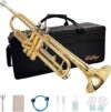 LeSage Standard Bb Trumpet Gold For Beginners
