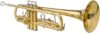Volowoo Standard Trumpet Set With Case, Gold