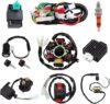 amavoler Stator Coil CDI Wiring Harness Kit