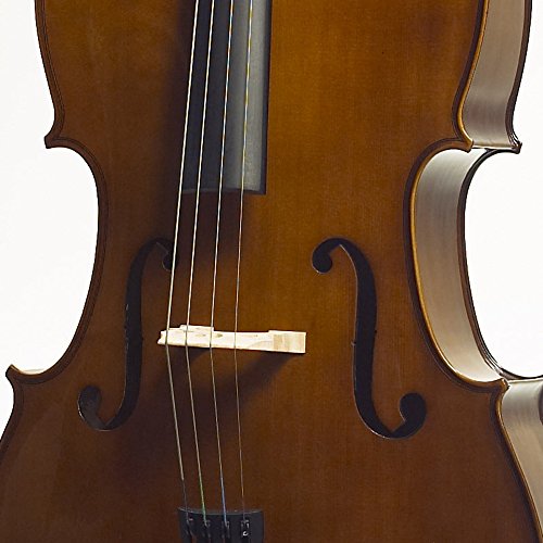 Stentor Stentor 1108.5 1/2 Cello - Image 5