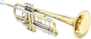 Bach Stradivarius Professional Bb Trumpet 19072V