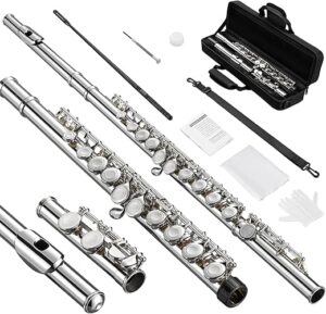 POGOLAB Student Closed Hole C Flute, 16 Keys