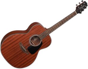 Takamine Takamine Acoustic Guitar GD11M