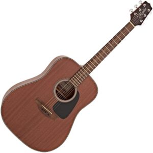 Takamine Takamine Acoustic Guitar GD11M
