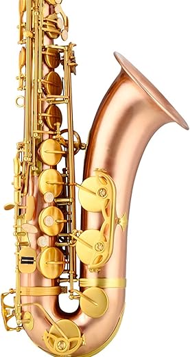 JITAZHIJIA Tenor Brass Saxophone For Beginners And Professionals