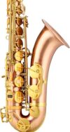 HUAZHIMEI Tenor Brass Saxophone Set For Beginners