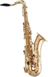 RS Berkeley Tenor Saxophone TSS533
