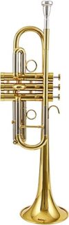 ZYZYZY Treble C Brass Trumpet For Students