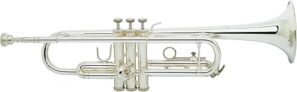 Vincent Bach Trombone Cleaning Care Product TR300H2S