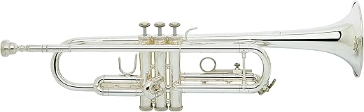 Vincent Bach Trombone Cleaning Care Product TR300H2S